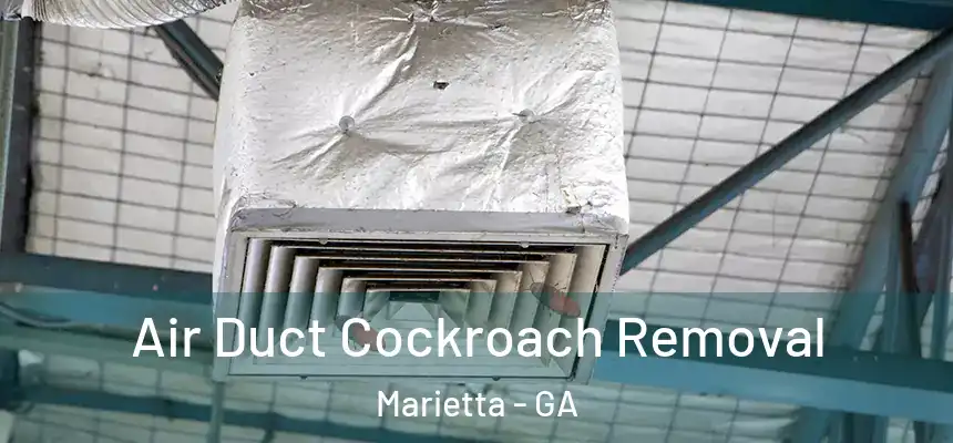 Air Duct Cockroach Removal Marietta - GA