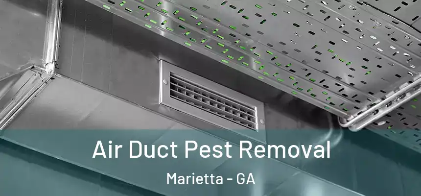 Air Duct Pest Removal Marietta - GA