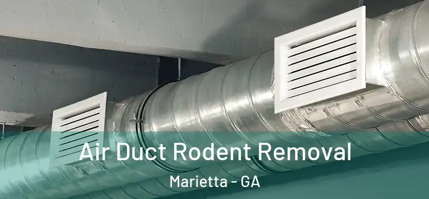 Air Duct Rodent Removal Marietta - GA