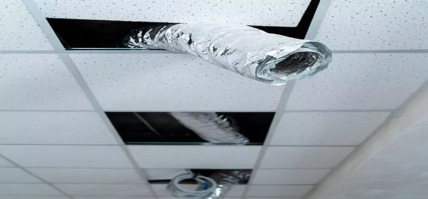 Our Air Duct Pet Hair Removal Services in Marietta, GA