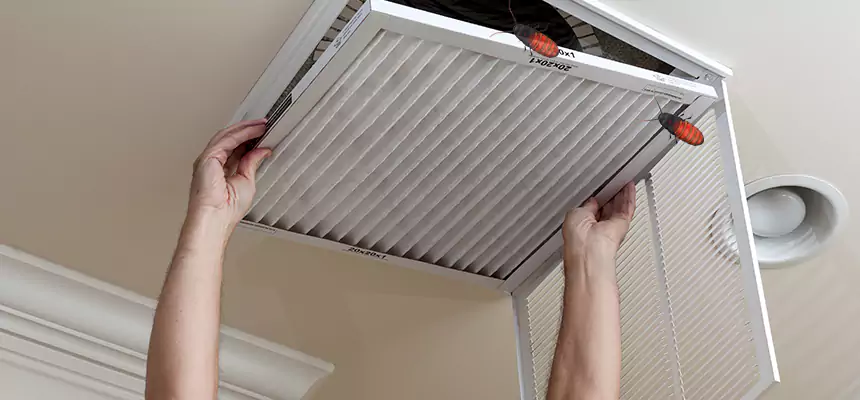 Our Insect Removal from Air Ducts Services in Marietta, GA