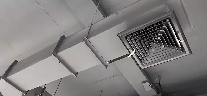 Our Pest Removal From Ducts Services in Marietta, GA