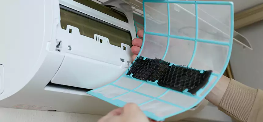 Gentle Ductwork Odor-Control Pet Dander Duct Cleaning in Marietta, GA