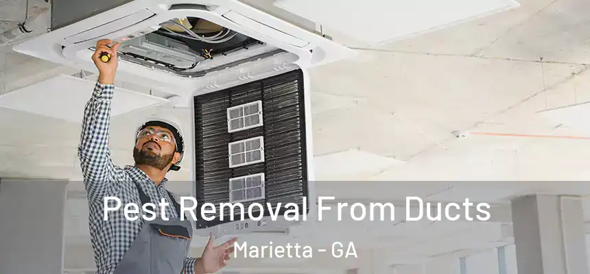 Pest Removal From Ducts Marietta - GA