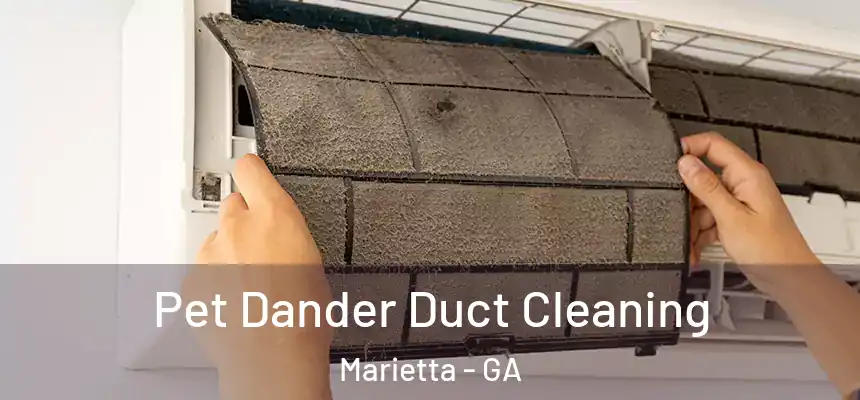 Pet Dander Duct Cleaning Marietta - GA