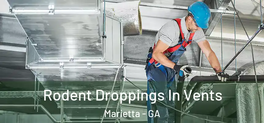 Rodent Droppings In Vents Marietta - GA