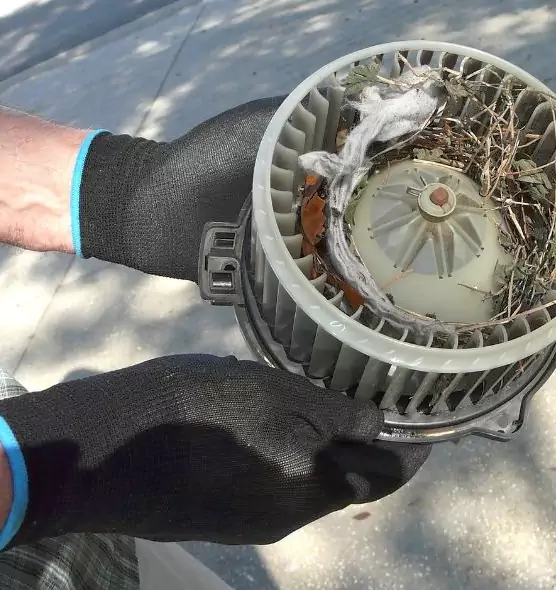 About Air Duct Mice Removal in Marietta, GA