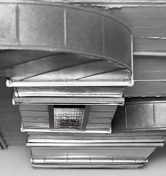 Professional Air Duct Pest Removal in Marietta, GA