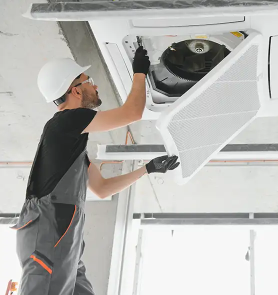 About Air Duct Rodent Removal in Marietta, GA