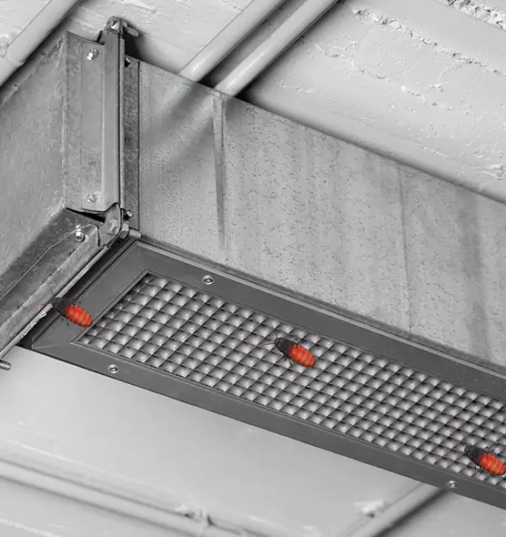 Affordable Insect Removal from Air Ducts in Marietta, GA