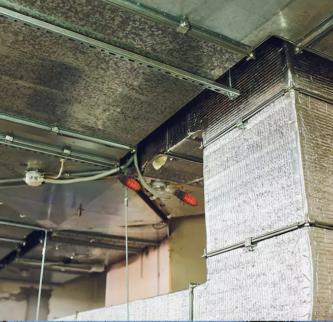 Why Homeowners & Businesses Trust Us in Marietta, GA?