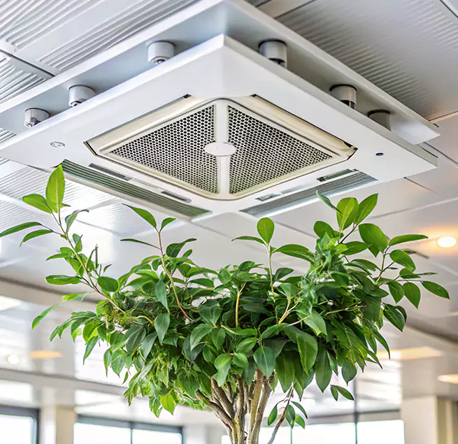 Why Homeowners & Businesses Trust Us in Marietta, GA