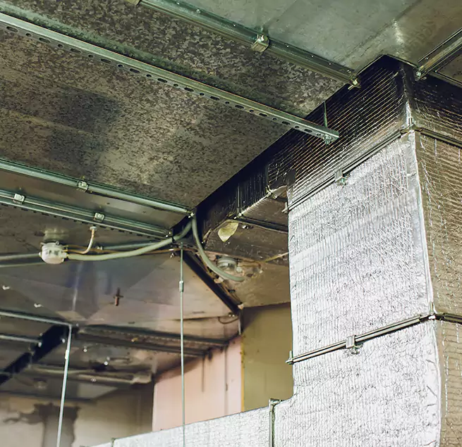 Why Homeowners & Businesses Trust Us in Marietta, GA?